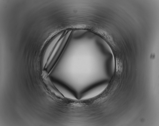 X0000097760300200803281640