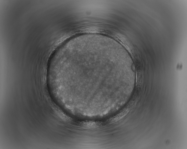 X0000097760301200803281640