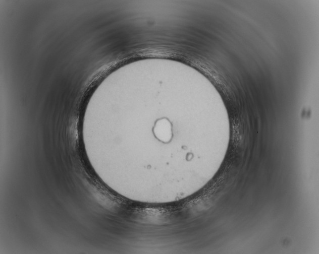 X0000097760302200803281640