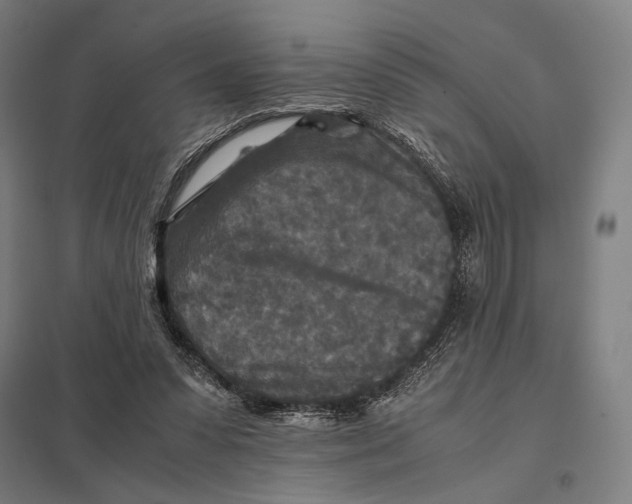 X0000097760303200803281640