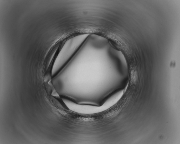 X0000097760304200803281640