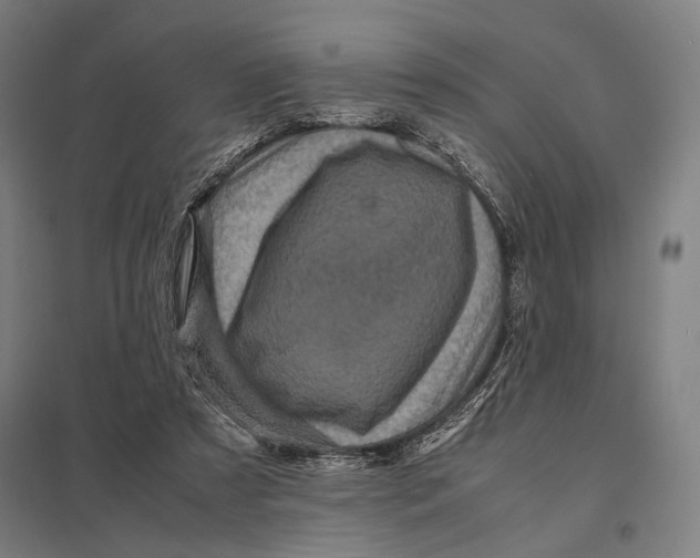 X0000097760305200803281640