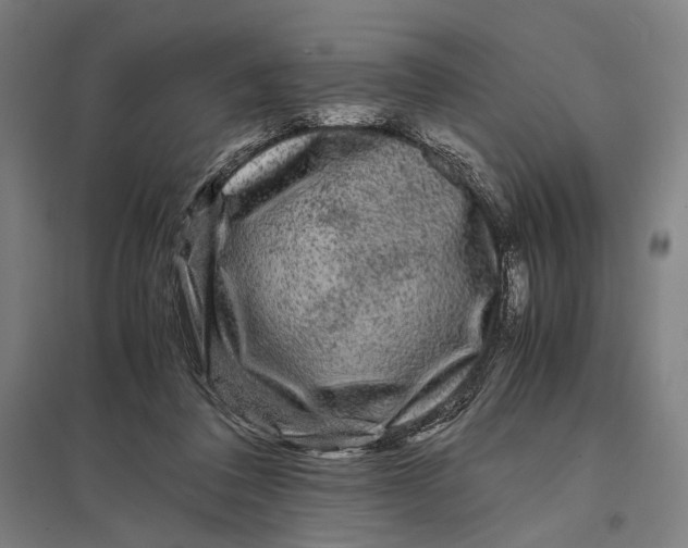 X0000097760308200803281640