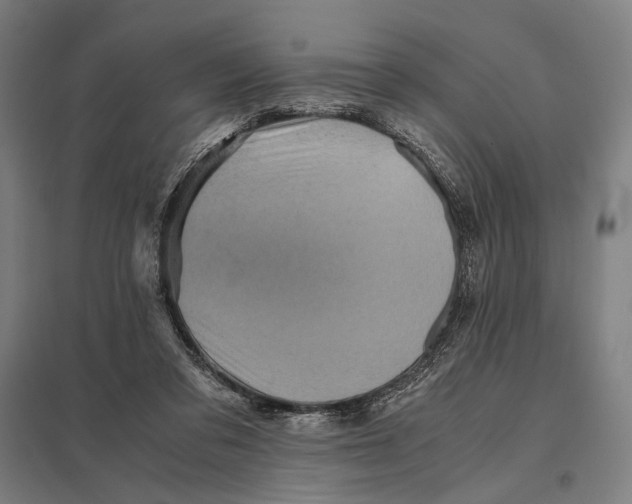 X0000097760309200803281640