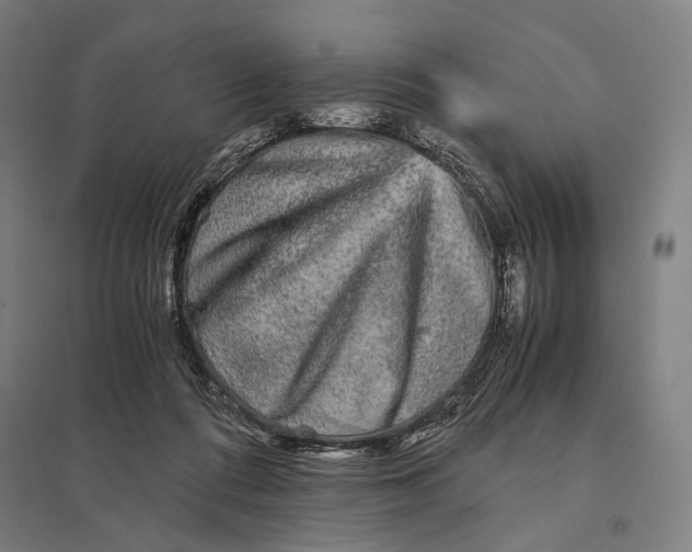 X0000097760312200803281640