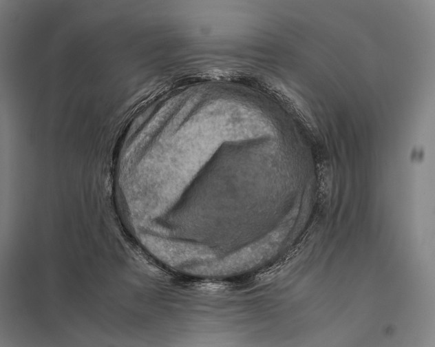 X0000097760313200803281640