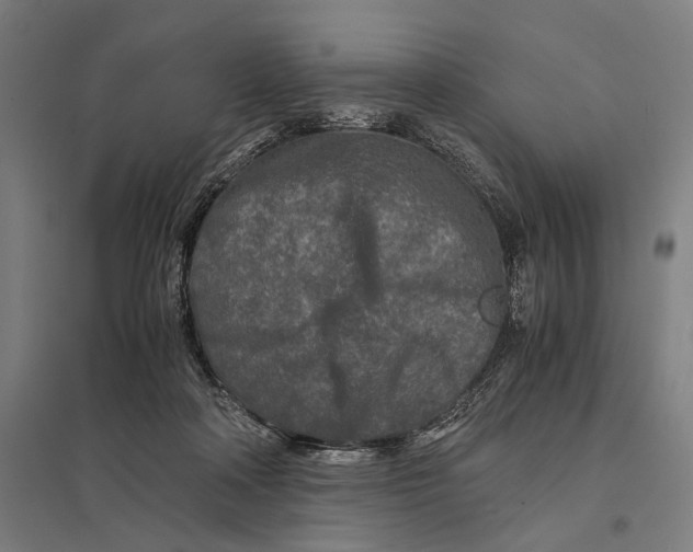 X0000097760314200803281640