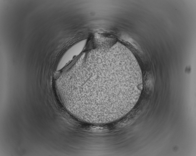 X0000097760315200803281640