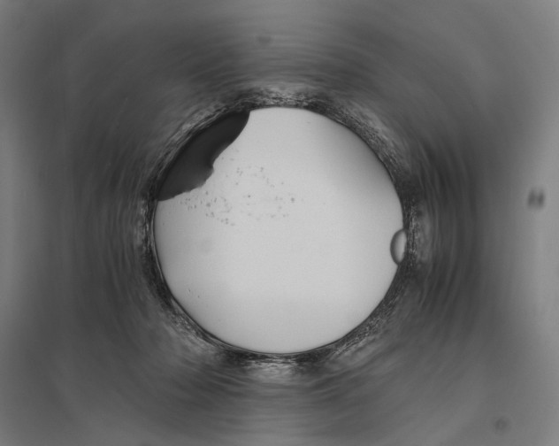 X0000097760318200803281640