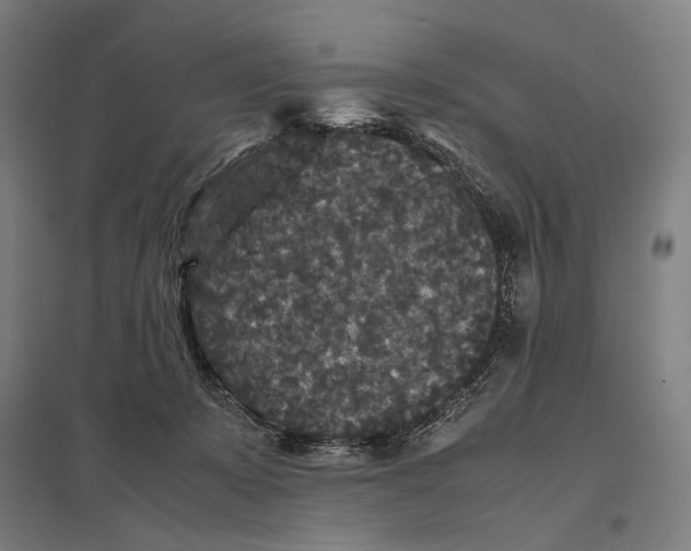 X0000097760319200803281640