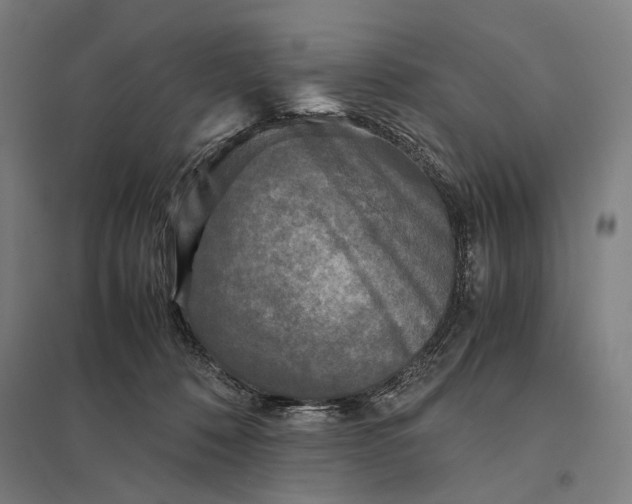 X0000097760320200803281640