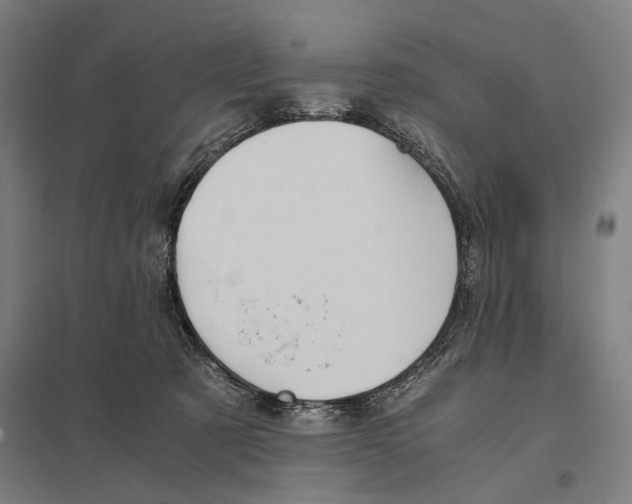 X0000097760321200803281640