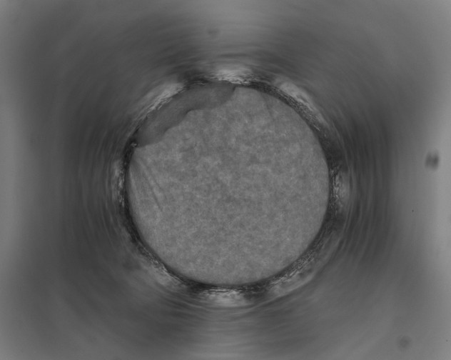 X0000097760322200803281640