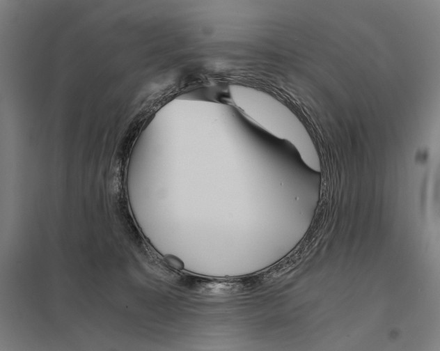 X0000097760323200803281640