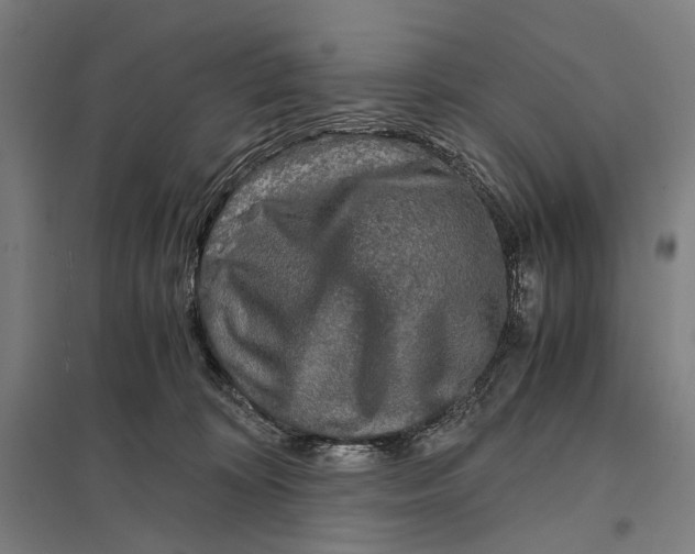 X0000097760324200803281640