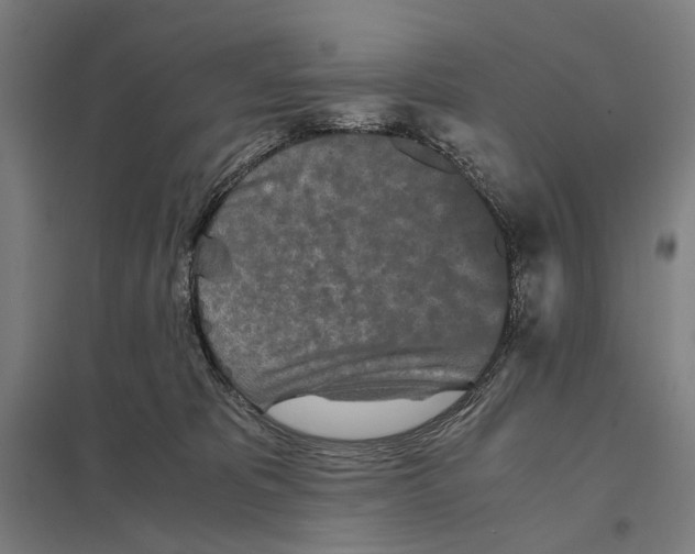 X0000097760325200803281640