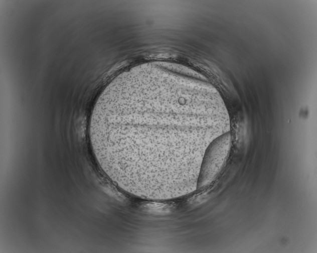 X0000097760326200803281640