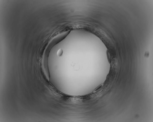 X0000097760327200803281640