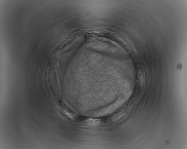 X0000097760328200803281640