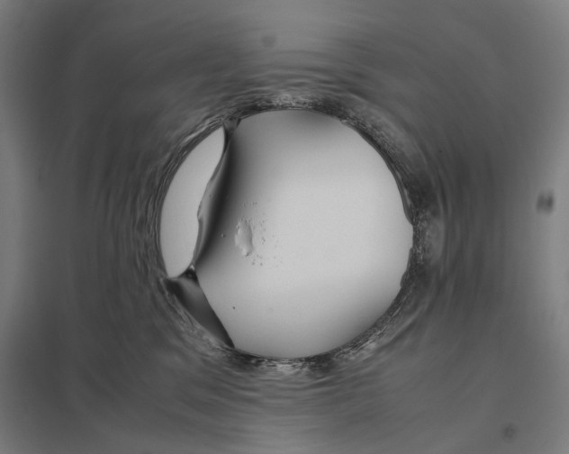 X0000097760329200803281640