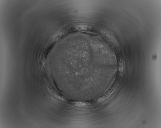 X0000097760332200803281639