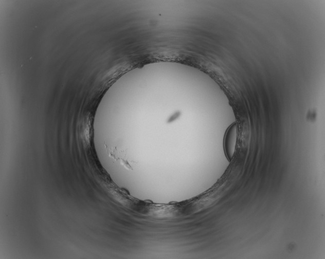 X0000097760334200803281639