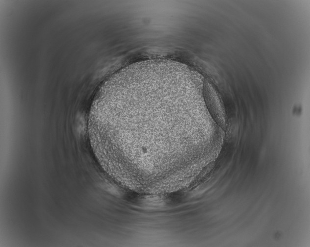 X0000097760335200803281639