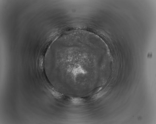 X0000097760336200803281639