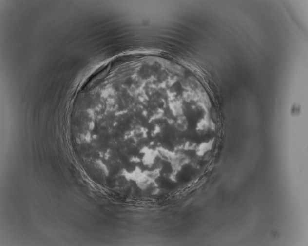 X0000097760337200803281639