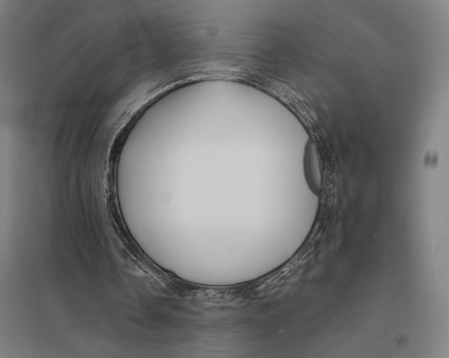 X0000097760338200803281639