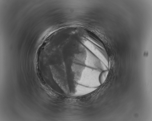 X0000097760339200803281639