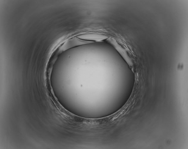 X0000097760340200803281639