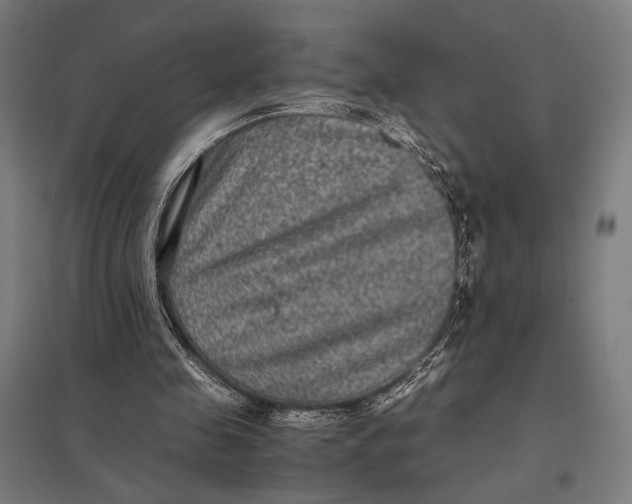 X0000097760341200803281639