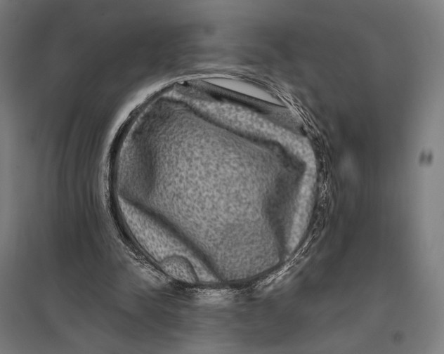 X0000097760342200803281639