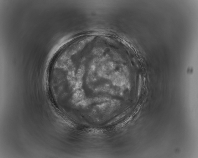 X0000097760343200803281639