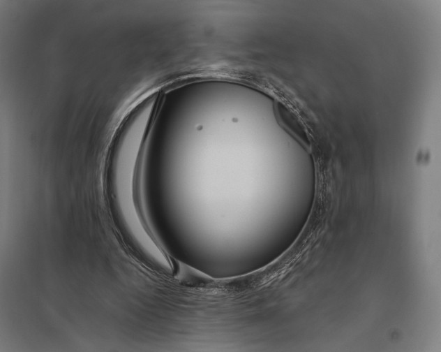 X0000097760344200803281639