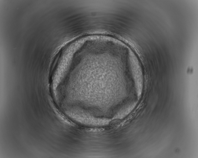 X0000097760345200803281639