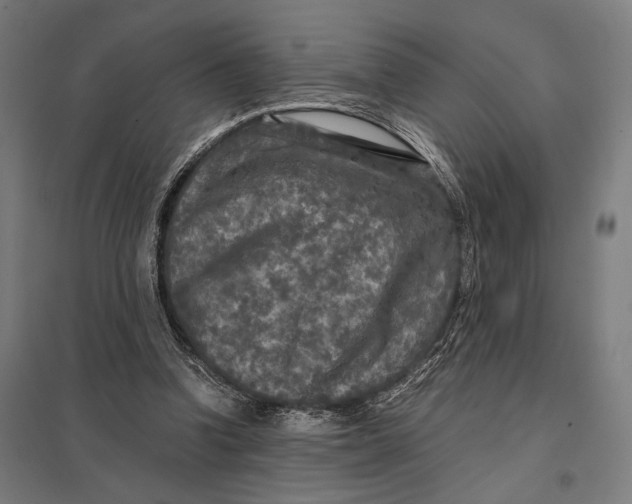 X0000097760346200803281639