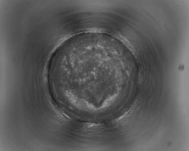 X0000097760347200803281639