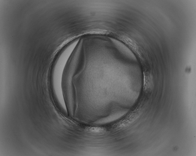 X0000097760348200803281639