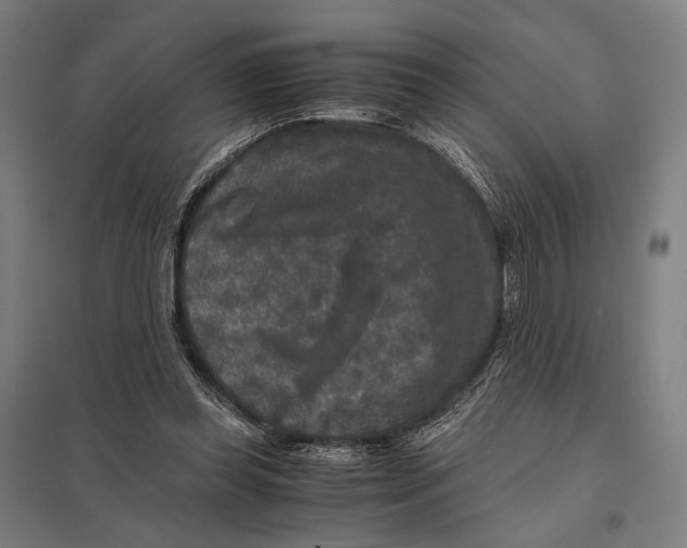 X0000097760349200803281639