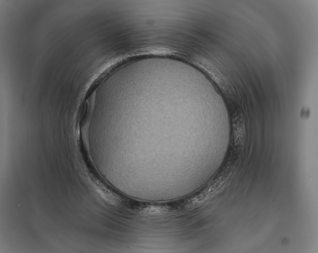 X0000097760350200803281639