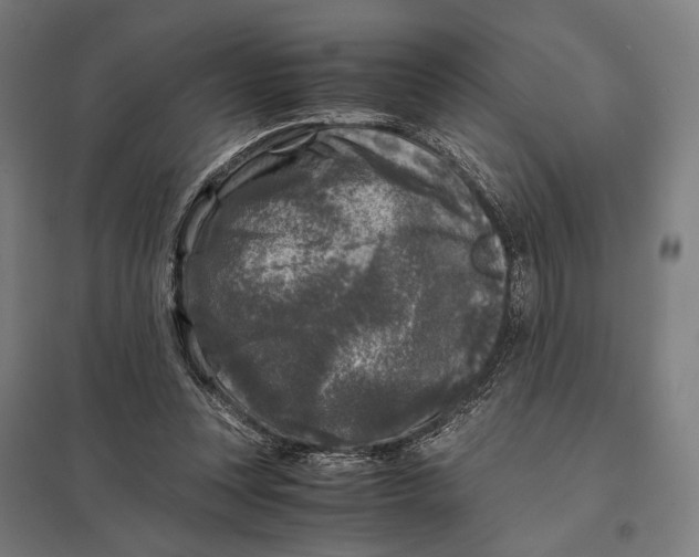 X0000097760351200803281639