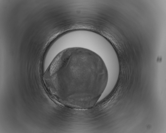 X0000097760352200803281639