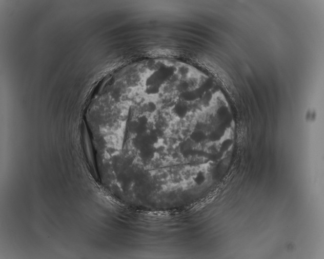 X0000097760353200803281639