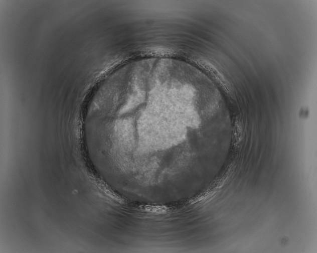 X0000097760355200803281639