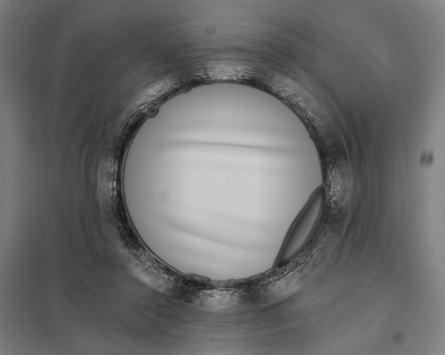 X0000097760356200803281639