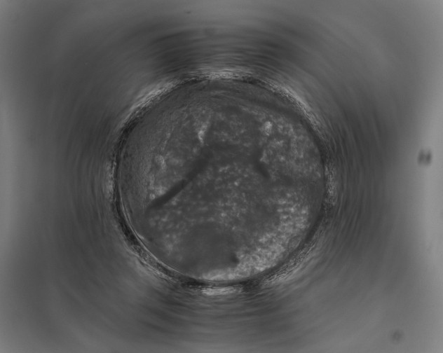 X0000097760357200803281639