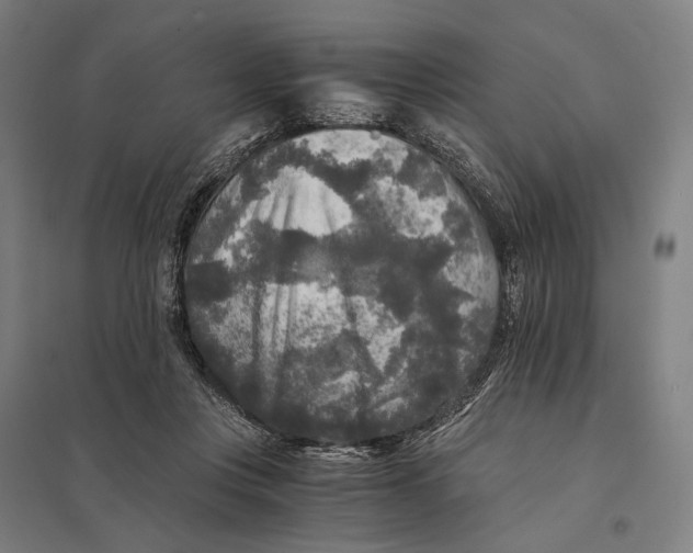 X0000097760359200803281639