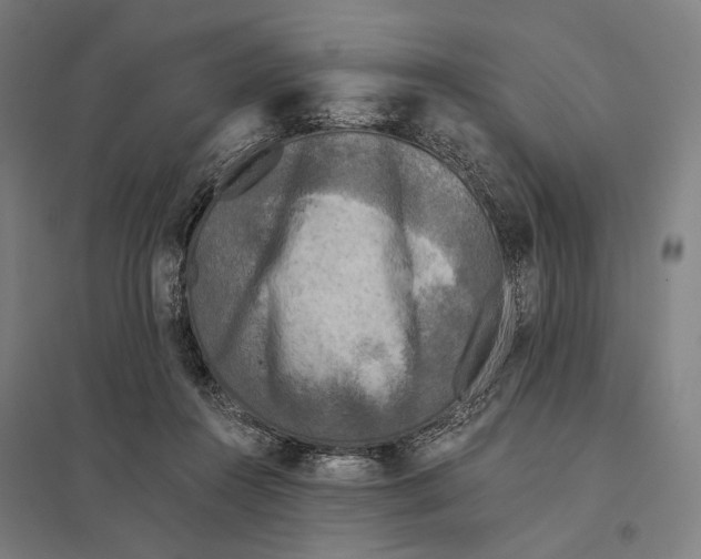 X0000097760360200803281639